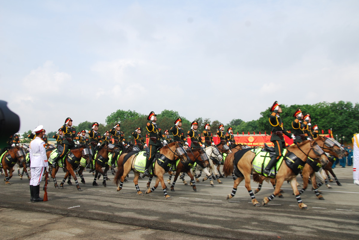 Lực lượng kỵ binh với vó ngựa chắc nịch và tư thế vững vàng, tạo điểm nhấn khác biệt trong đội hình diễu binh năm nay. Việc hợp luyện giữa các đơn vị sẽ được diễn ra trong nhiều ngày, đảm bảo tốt nhất cho công tác chuẩn bị lễ diễu binh, diễu hành vào ngày đại lễ 30/4 tới đây.