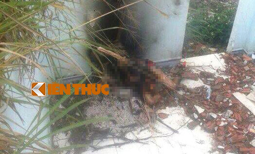 Co gai tre bi troi, chet chay trong can nha hoang dang mang thai