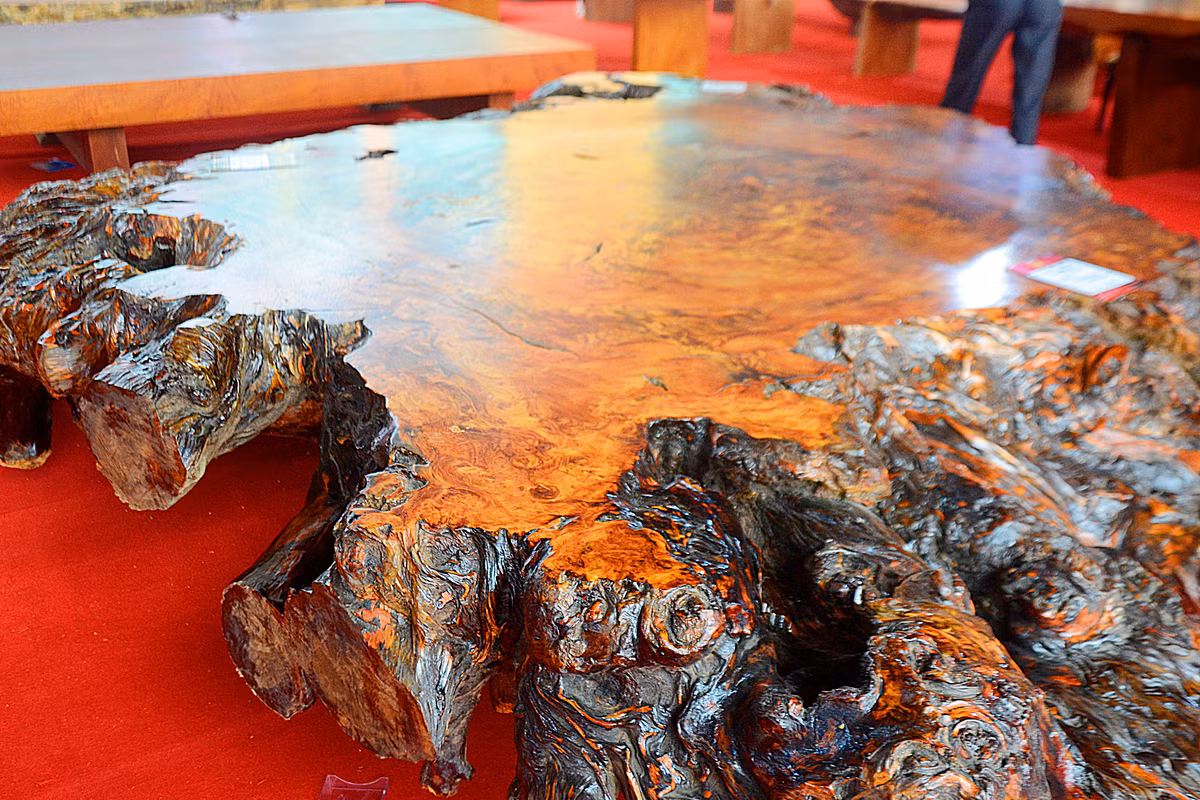 Đường vân gỗ rất đẹp với nhiều vân vòng, vân rối trải đều.