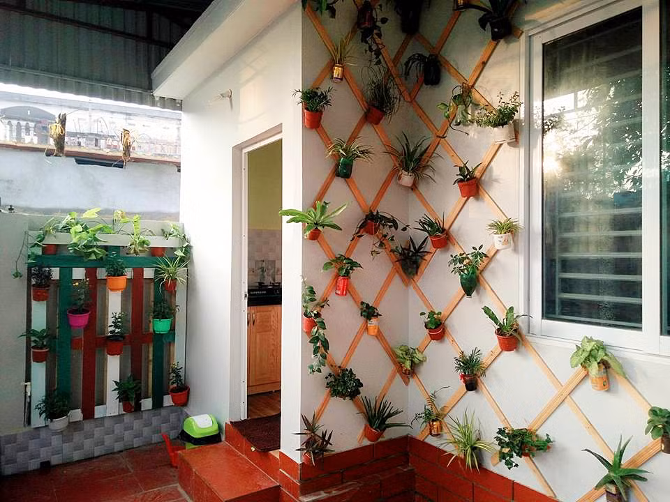 Không gian tường nhà dẫn vào phòng bếp được chị tận dụng chai lọ để trồng cây.