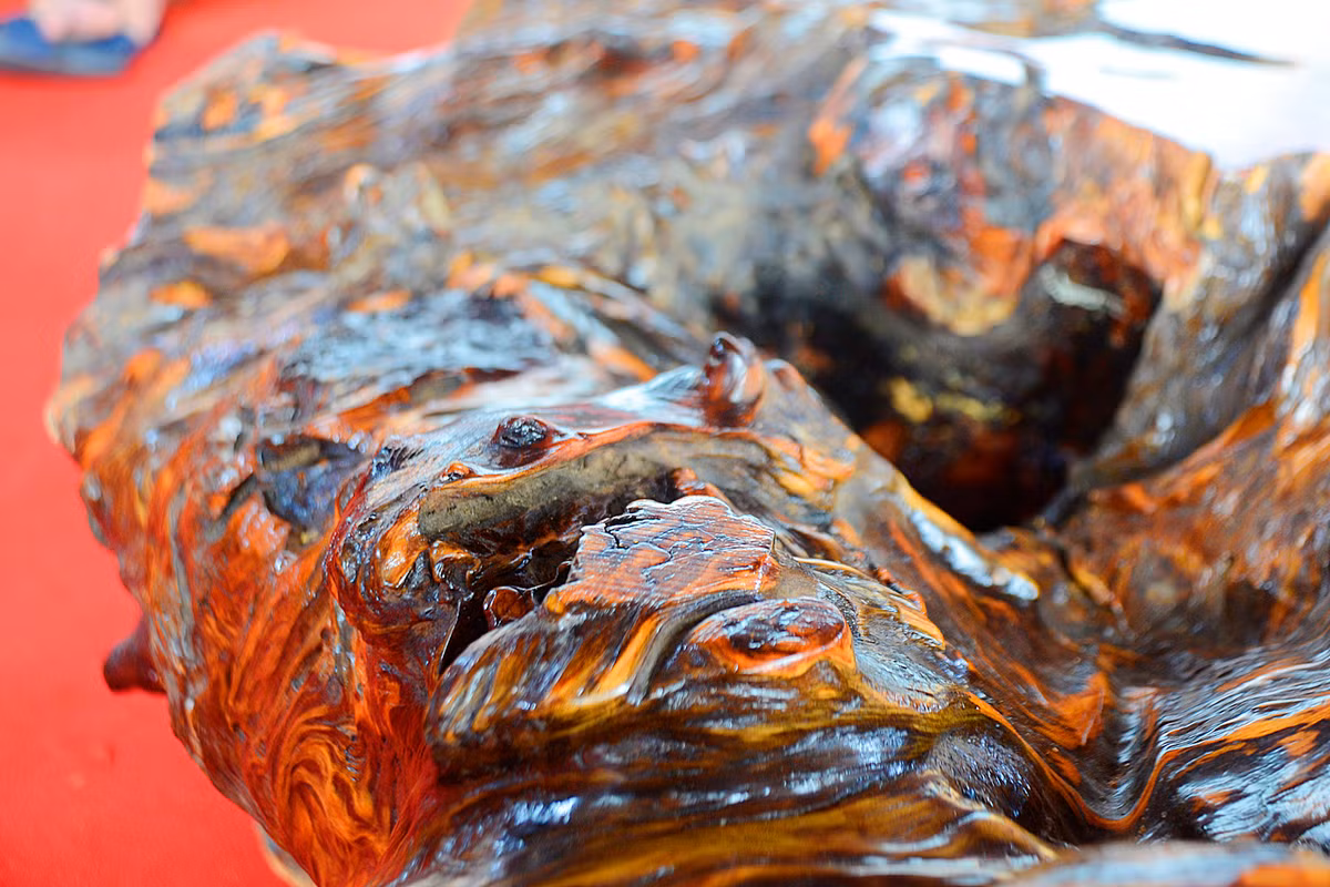 Tạo nên sự kỳ bí, đầy vẻ mê hoặc.