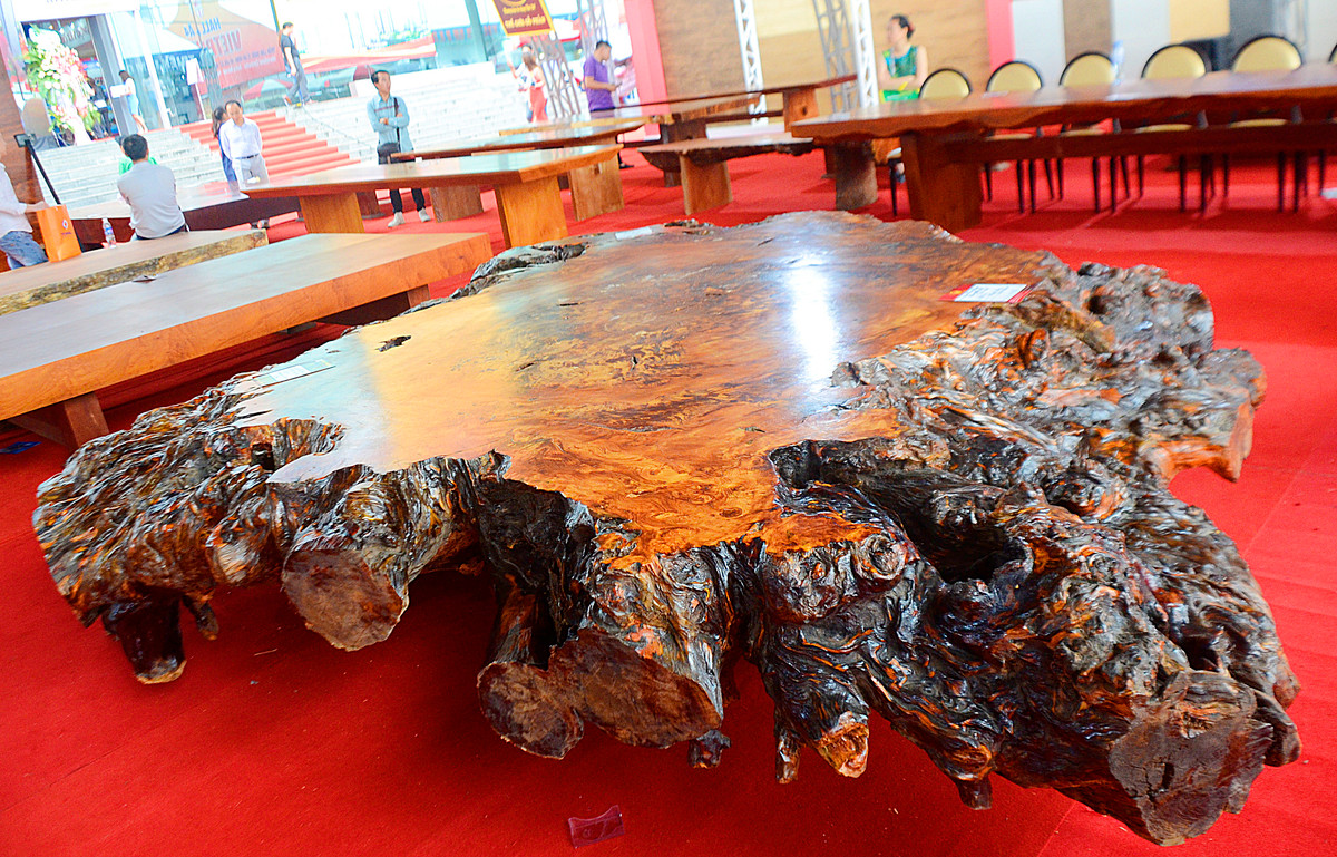 Siêu phản gốc cây "Huyết Long lớn nhất thế giới" có giá hơn 1,17 tỷ đồng thuộc sở hữu của một đại gia ở Hà Đông, Hà Nội.