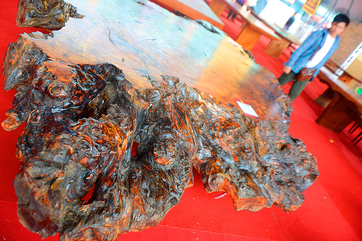 Phần mặt bàn là phần gốc cây, được cưa phẳng tạo không gian ngồi uống trà thoải mái.