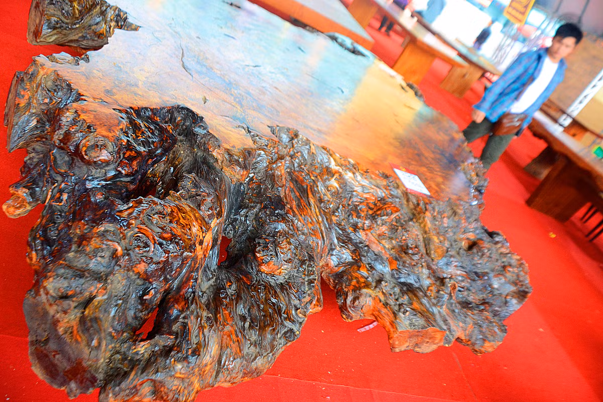 Phần mặt bàn là phần gốc cây, được cưa phẳng tạo không gian ngồi uống trà thoải mái.