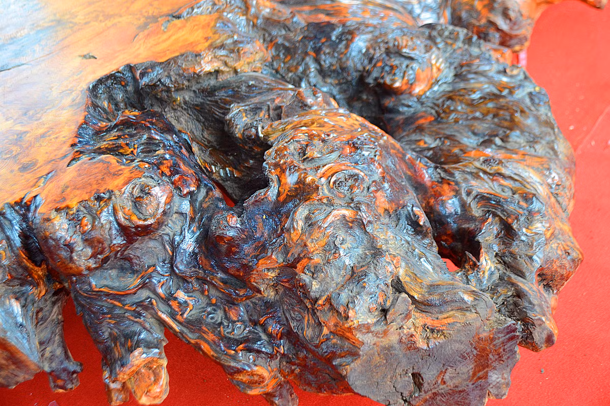 ... lại vừa tạo điểm nhấn trang trí cho sản phẩm.