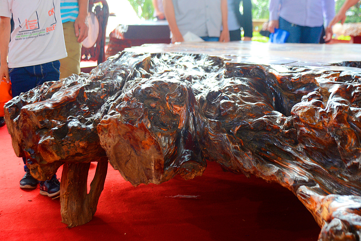 Trong đó, phần rễ chính được giữ vững và tận dụng để làm chân bàn chắc chắn cho sản phẩm.