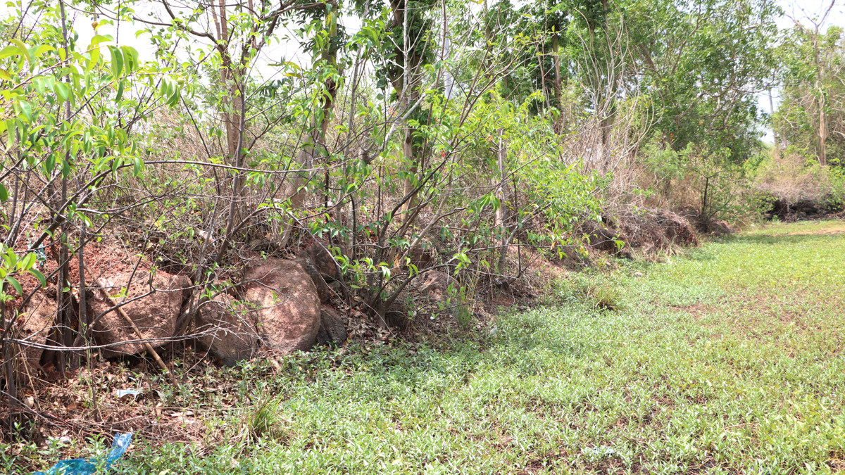 View - Đồng Nai: Lún, nứt mặt đường Sông Thao – Tây Hòa | Báo Tri thức và Cuộc sống - TIN TỨC PHỔ BIẾN KIẾN THỨC 24H