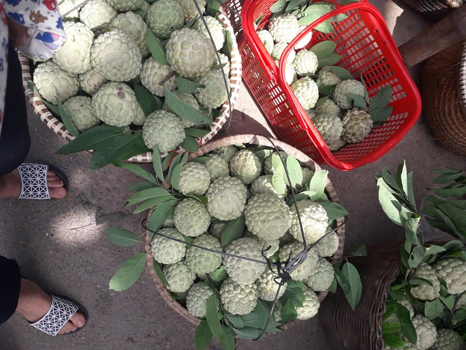 Tấp nập suốt cả buổi sáng, đây được coi là chợ na lớn nhất miền Bắc. Ảnh: FB Hoạt Lý.