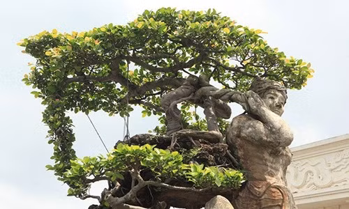 Cây cao 2,6m, tính cả phần đế bên dưới cao 3,2m, rộng 1,4m và nặng 3 tấn. Tượng làm bằng xi măng cốt thép. Ảnh: Dân Việt.