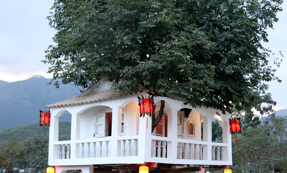 Ngôi nhà 2 tầng nằm hoàn toàn trên cây thị có diện tích 50m2. Ảnh: Zing.