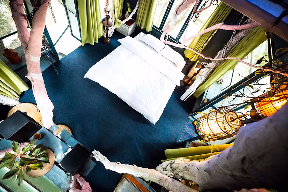 Mỗi ngôi nhà trên cây trong quần thể có kiến trúc và nội thất khác nhau. Ảnh: Zing.