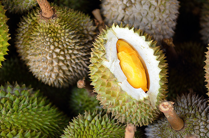 Đây được xem là loại sầu riêng dành riêng cho những ai muốn thử mà không chịu được mùi đặc trưng vốn có của nó. Ảnh: Koh Samui Sunset.