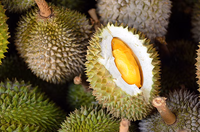 Đây được xem là loại sầu riêng dành riêng cho những ai muốn thử mà không chịu được mùi đặc trưng vốn có của nó. Ảnh: Koh Samui Sunset.