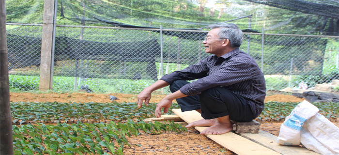 Trung bình mỗi năm gia đình ông thu 6 -7 lứa, tính ra thu nhập gần trăm triệu đồng. Ảnh: Báo Thái Nguyên.