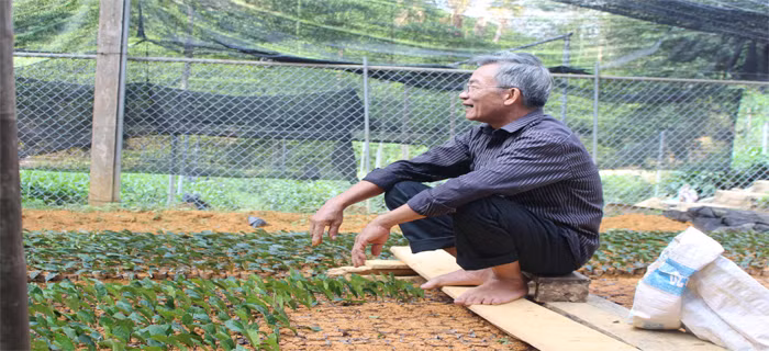 Trung bình mỗi năm gia đình ông thu 6 -7 lứa, tính ra thu nhập gần trăm triệu đồng. Ảnh: Báo Thái Nguyên.