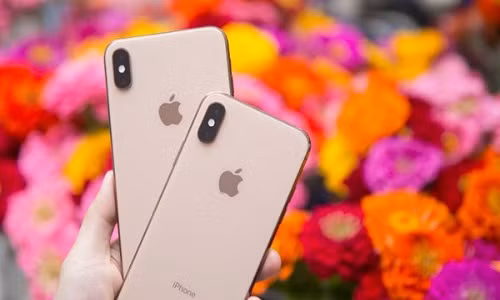 Da tim thay cay giang huong 