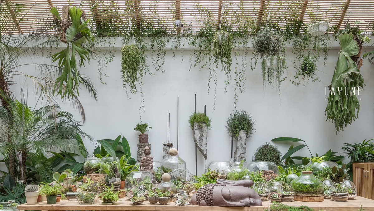 Không gian nghỉ ngơi trong lành, yên tĩnh.