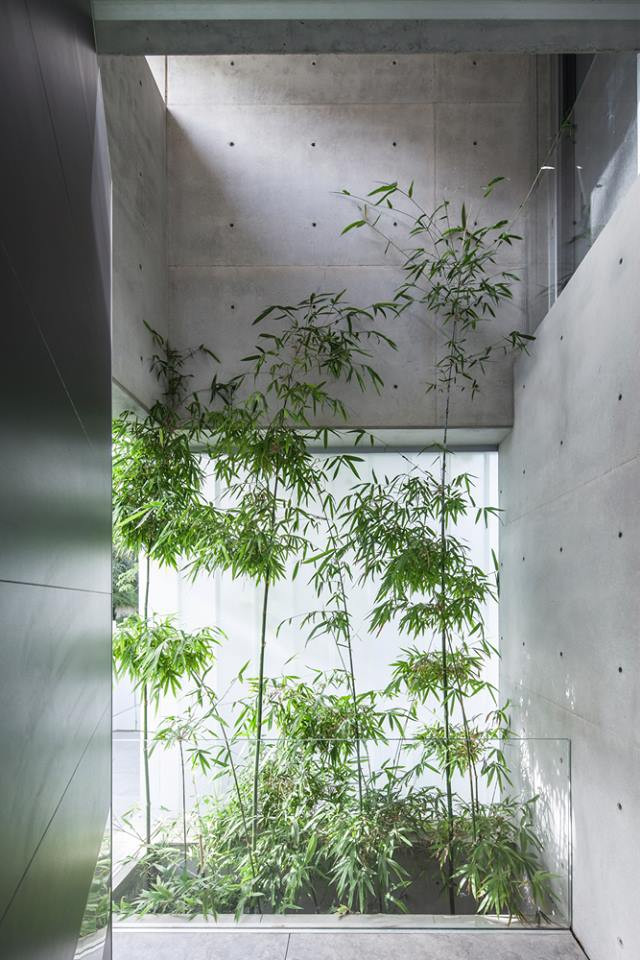 Khu vườn nhỏ tạo tiểu cảnh đẹp mắt trong nhà.