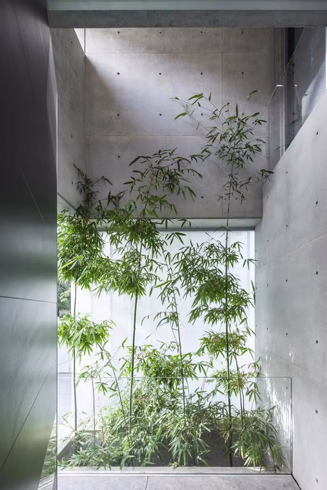 Khu vườn nhỏ tạo tiểu cảnh đẹp mắt trong nhà.