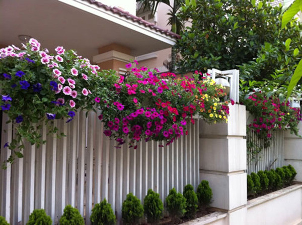  Chọn cây không phù hợp: Bạn có thể chọn cây trồng trong vườn theo sở thích nhưng hạn chế chọn cây không phù hợp. Trồng một loại cây trong vườn hoặc một loại cây hoa chỉ nở theo mùa sẽ khiến khu vườn mất đi sự cuốn hút. Ảnh: Greenviet.