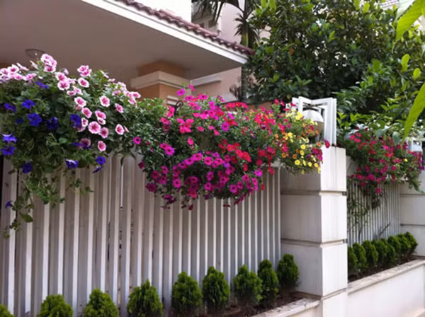  Chọn cây không phù hợp: Bạn có thể chọn cây trồng trong vườn theo sở thích nhưng hạn chế chọn cây không phù hợp. Trồng một loại cây trong vườn hoặc một loại cây hoa chỉ nở theo mùa sẽ khiến khu vườn mất đi sự cuốn hút. Ảnh: Greenviet.