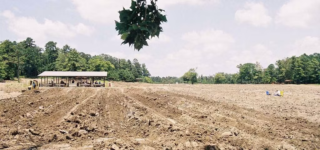 Công viên rộng gần 370ha, trong đó khu vực dành riêng cho du khách đào kim cương rộng 10ha. Ảnh: Roadtrippers.