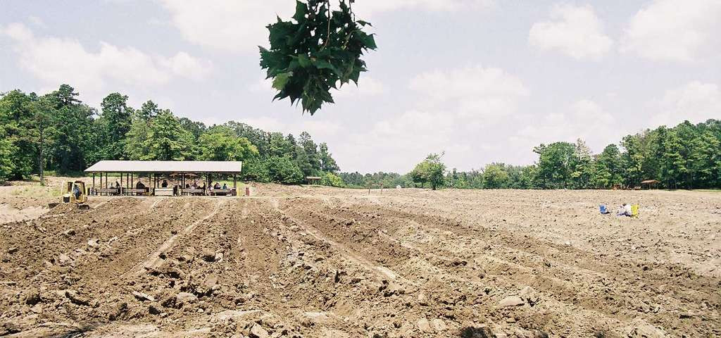 Công viên rộng gần 370ha, trong đó khu vực dành riêng cho du khách đào kim cương rộng 10ha. Ảnh: Roadtrippers.