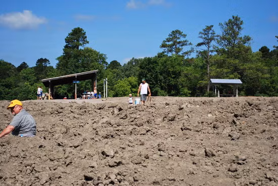 Với một khoản phí nhỏ vào cửa, bất cứ ai cũng có thể tự do đào xới các khu đất xung quanh để tìm kim cương. Ảnh: TripAdvisor.