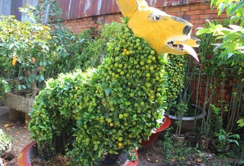 Những cây tạo hình phức tạp có giá lên tới cả chục triệu đồng. Ảnh: Congan.