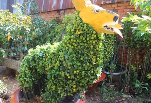 Những cây tạo hình phức tạp có giá lên tới cả chục triệu đồng. Ảnh: Congan.