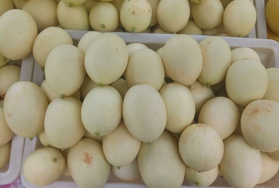 Dưa lê trồng ở các tỉnh như Hải Dương, Hưng Yên...cũng đang vào mùa thu hoạch và được nhiều thương lái đổ về Hà Nội bán. Ảnh: FB Ngan Luong.