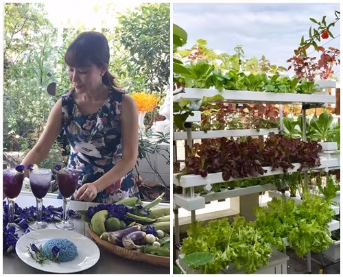 Với diện tích gần 200m2 trên sân thượng, chị Thanh Hiền (quận Tân Bình, TP HCM) biê trồng đủ các loại rau củ quả, đủ ăn quanh năm. Ảnh: Dân Việt.