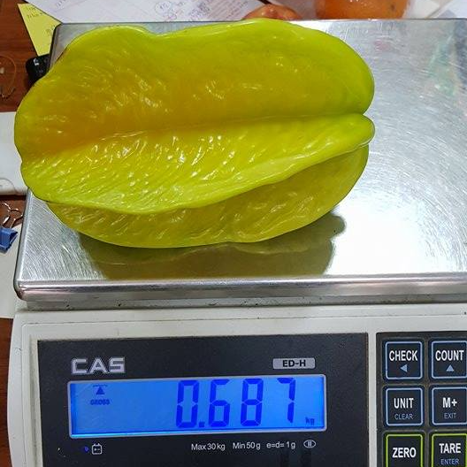 Tính ra, một trái khế Đài Loan nặng 0,6kg có giá tới 120.000 đồng. Ảnh: FB Hoa Quả Ưu Đàm.