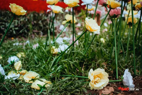 Giữa trưa nắng, nhiều gia đình cũng trải bạt, mắc võng, lều,… nằm ngủ trên những thảm cỏ. Theo nhân viên, người dân được phép trải bạt nghỉ ngơi song không được xã rác bừa bải.