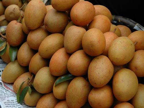 Theo người bán, hồng xiêm ruột đỏ có xuất xứ từ Thái Lan. Loại này đã được trồng và nhân giống thành công ở một số tỉnh tại Việt Nam. Ảnh: FB Caygiongnongnghiep.