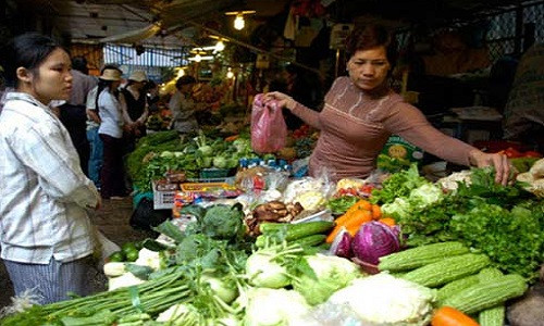 Rất khó để phân biệt nhiều loại rau, củ từ Trung Quốc