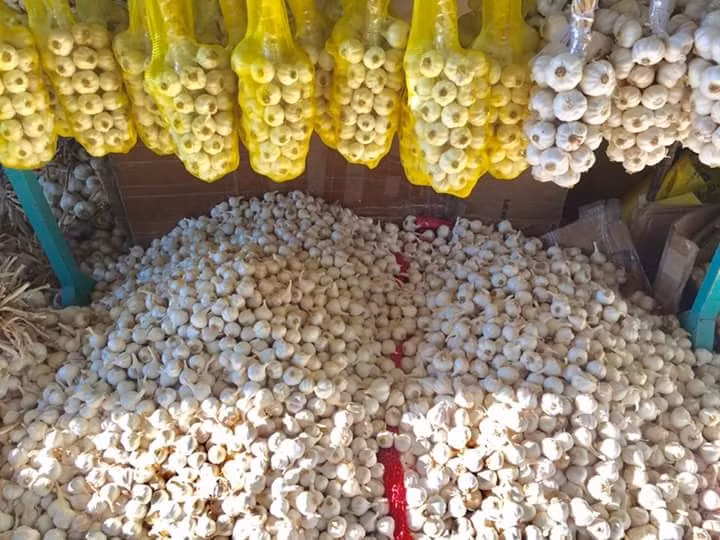 Hiện, diện tích trồng tỏi tại Ninh Thuận đạt trên 210 ha, tập trung ở các huyện Ninh Hải, Thuận Bắc và thành phố Phan Rang - Tháp Chàm. Ảnh: FB Dặc sản Phan Rang.