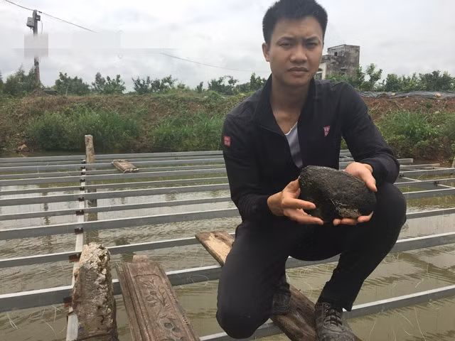 Với biệt tài cấy ngọc vào trai nuôi dưới sông, 9X Nguyễn Đình Tùng (SN 1992) ở thôn Dạo Lưới, xã Đông Hưng (Lục Nam, Bắc Giang) được cho là thu về gần 5 tỷ đồng ở vụ đầu tiên. Ảnh: Dân Việt.