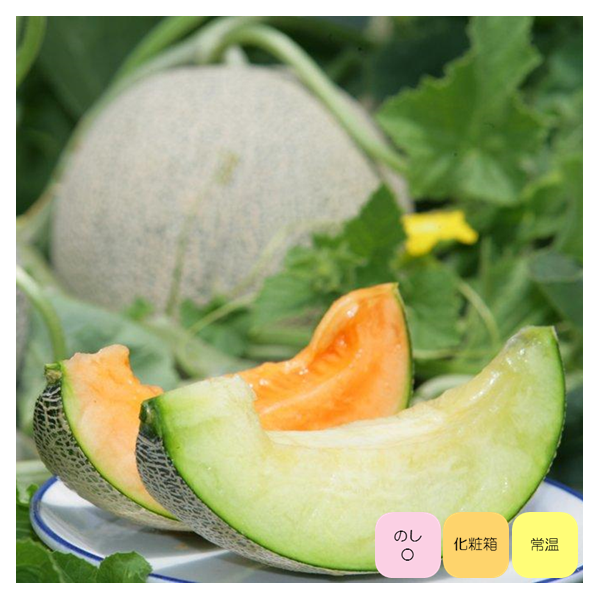  Dưa vàng Yubari đạt chuẩn phải có hình tròn đều, vân vỏ rõ và mịn. Ruột bên trong có màu vàng cam, vị ngọt mát khác biệt. Ảnh: Yubari-resort.