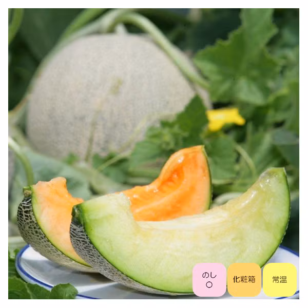  Dưa vàng Yubari đạt chuẩn phải có hình tròn đều, vân vỏ rõ và mịn. Ruột bên trong có màu vàng cam, vị ngọt mát khác biệt. Ảnh: Yubari-resort.