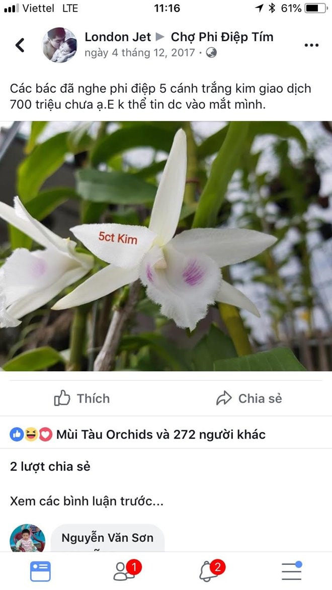 Cuộc giao dịch 700 triệu cho cây 5 cánh trắng Kim khiến giới chơi lan xôn xao.