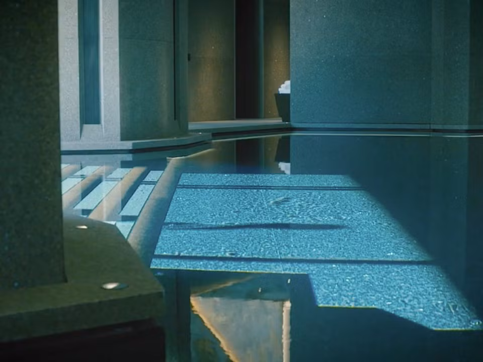 Điểm ấn tượng nhất của ngôi nhà là hồ bơi dưới lòng đất.