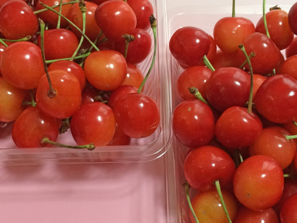 Trong số các loại cherry tại Nhật Bản thì cherry Sato Nishiki có vị ngọt như mía lùi là phổ biến nhất. Ảnh: Geo.