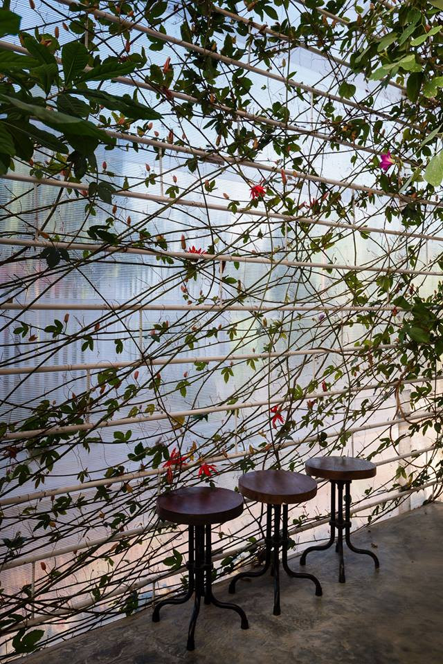 Không gian thư giãn ngập sắc xanh. Nguồn ảnh: Atelier tho.A.