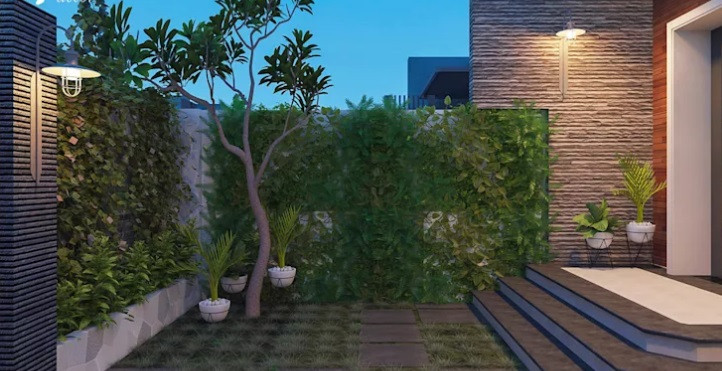 Bức tường được bao phủ bởi giàn cây dây leo tốt um.