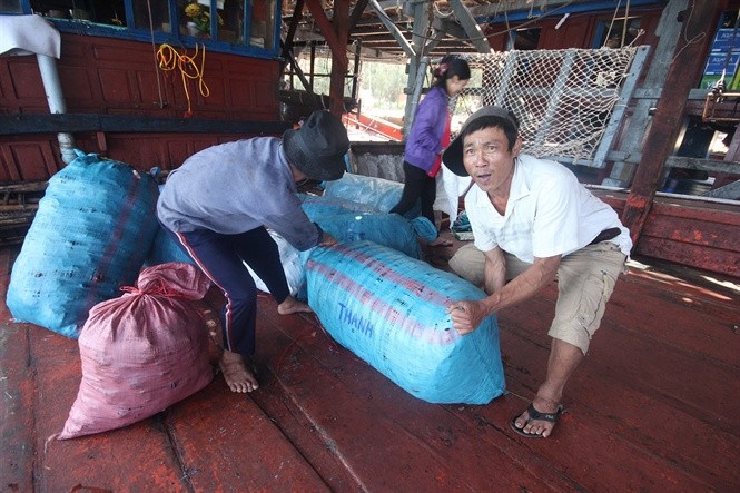 Hầu hết các tàu câu mực khơi trở về sau chuyến đi biển đều thu được hàng chục tấn. Ảnh: Nongnghiep.