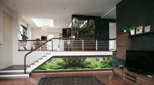 Khu vực tầng hầm sử dụng bể các vừa trang trí vừa là vách ngăn giữa gara và các không gian công cộng.