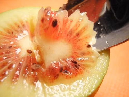 Khi ăn, kiwi Nhật Bản có vị ngọt và thơm gần giống kiwi vàng. Ảnh: FB Mia Fruit.