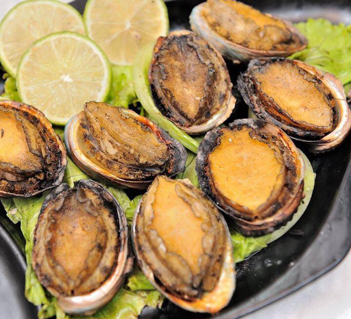 Thịt của bào ngư là một khối cứng giòn, có mùi thơm ngon và rất bổ dưỡng. Ảnh: Tomhumdo.