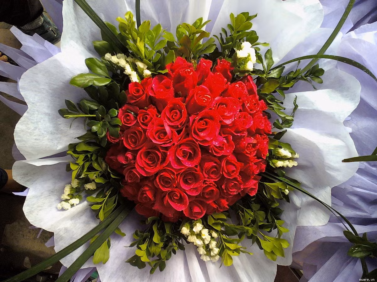 Bên cạnh các loài hoa trong nước, không ít đại gia Việt bạo tay chi hàng chục triệu đồng mua hoa nhập khẩu tặng vợ nhân dịp Valentine. Ảnh: Hongsamac.